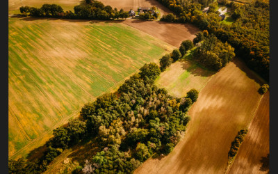 Piękna działka z lasem - Dobra Nadzieja  -
Wielkopolskie Zdjęcie nr 12