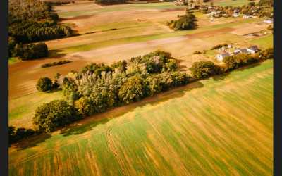 Piękna działka z lasem - Dobra Nadzieja  -
Wielkopolskie Zdjęcie nr 13