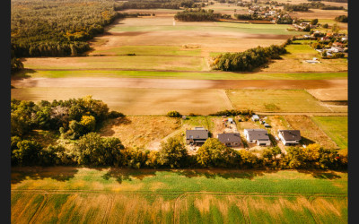 Piękna działka z lasem - Dobra Nadzieja  -
Wielkopolskie Zdjęcie nr 14
