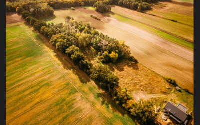 Piękna działka z lasem - Dobra Nadzieja  -
Wielkopolskie Zdjęcie nr 15