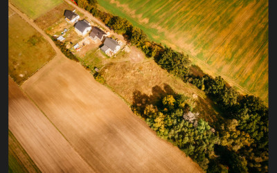 Piękna działka z lasem - Dobra Nadzieja  - Wielkopolskie