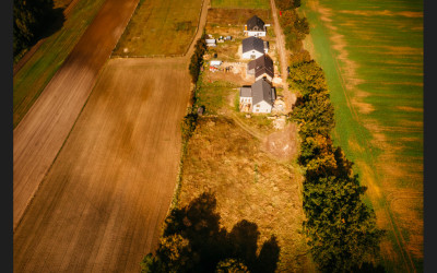 Piękna działka z lasem - Dobra Nadzieja  -
Wielkopolskie Zdjęcie nr 2