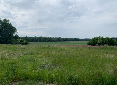 Piękna działka z lasem - Dobra Nadzieja  -
Wielkopolskie Zdjęcie nr 3