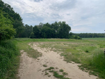 Piękna działka z lasem - Dobra Nadzieja  -
Wielkopolskie Zdjęcie nr 4