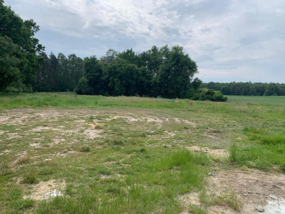 Piękna działka z lasem - Dobra Nadzieja  -
Wielkopolskie Zdjęcie nr 7