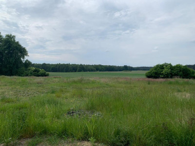 Piękna działka z lasem - Dobra Nadzieja  -
Wielkopolskie Zdjęcie nr 8