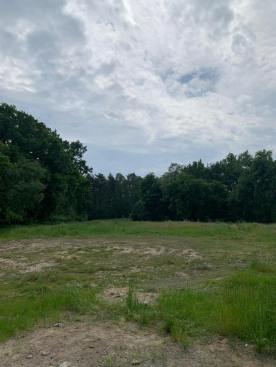 Piękna działka z lasem - Dobra Nadzieja  -
Wielkopolskie Zdjęcie nr 9