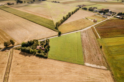 Dobieszczezna -  działki budowlane - Dobieszczyzna  -
Wielkopolskie Zdjęcie nr 2