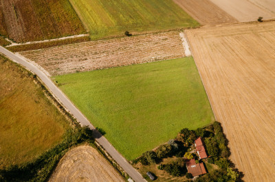 Dobieszczezna -  działki budowlane - Dobieszczyzna  -
Wielkopolskie Zdjęcie nr 5