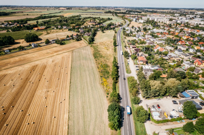 Fantastyczna dzialka z warunkami zabudowy - Pleszew  -
Wielkopolskie Zdjęcie nr 6