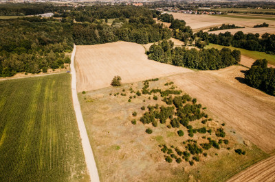 Działka rolna w gminie Opatówek - Opatówek  -
Wielkopolskie Zdjęcie nr 4