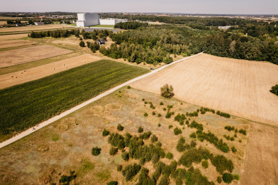 Działka rolna w gminie Opatówek - Opatówek  -
Wielkopolskie Zdjęcie nr 5