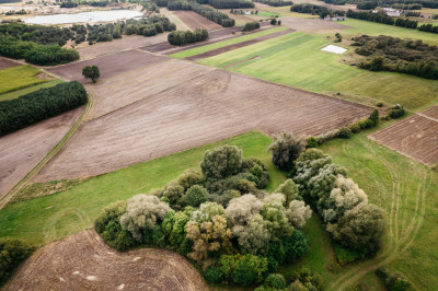 Działki Lisków - 6 dzialek do wyboru - Lisków  -
Wielkopolskie Zdjęcie nr 2