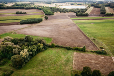 Działki Lisków - 6 dzialek do wyboru - Lisków  -
Wielkopolskie Zdjęcie nr 3