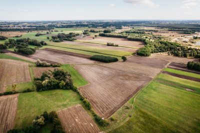 Działki Lisków - 6 dzialek do wyboru - Lisków  -
Wielkopolskie Zdjęcie nr 6