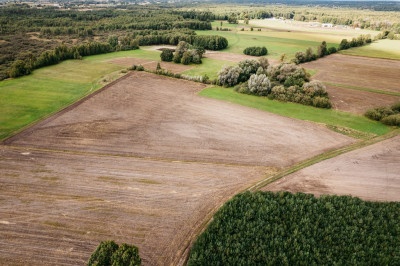 Działki Lisków - 6 dzialek do wyboru - Lisków  -
Wielkopolskie Zdjęcie nr 7