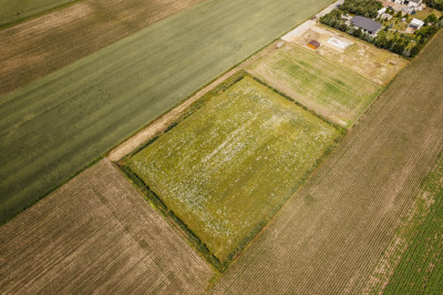 Działka 3000 m z dala od aglomeracji - Żelazków  -
Wielkopolskie Zdjęcie nr 5