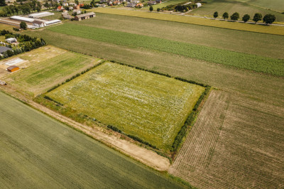 Działka 3000 m z dala od aglomeracji - Żelazków  -
Wielkopolskie Zdjęcie nr 7