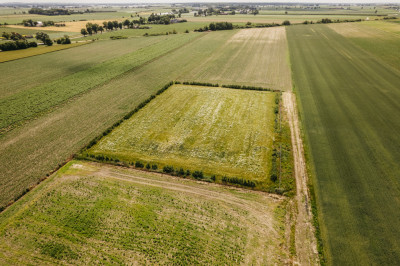 Działka 3000 m z dala od aglomeracji - Żelazków  -
Wielkopolskie Zdjęcie nr 9