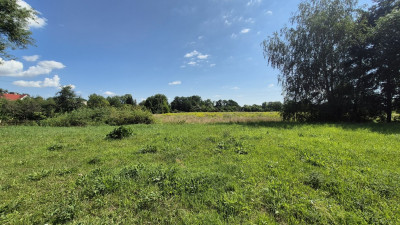 Działka z WZ w centrum Szprotawy 3111 m2 - Szprotawa  -
Lubuskie Zdjęcie nr 7