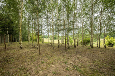 Atrakcyjna budowlana działka w Głownie - Głowno  -
Łódzkie Zdjęcie nr 3