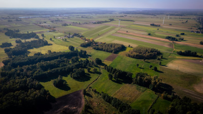 Folwark nad rzeką Miazgą - Kotliny  -
Łódzkie Zdjęcie nr 7