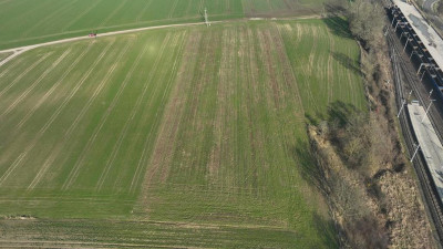 Super okazja dla łowców działek - Mieszkowice  -
Zachodniopomorskie Zdjęcie nr 10