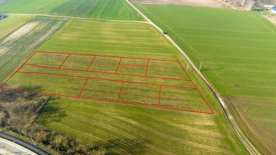 Super okazja dla łowców działek - Mieszkowice  -
Zachodniopomorskie Zdjęcie nr 5