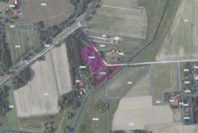 Działka z WZ i mediami - las i droga asfaltowa - Stary Brus  -
Lubelskie Zdjęcie nr 2