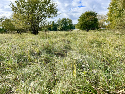 Duża działka dla dużej rodziny - Rynarzewo  -
Kujawsko-Pomorskie Zdjęcie nr 13