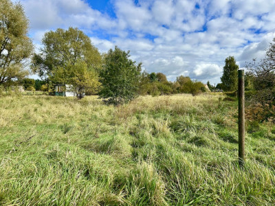 Duża działka dla dużej rodziny - Rynarzewo  -
Kujawsko-Pomorskie Zdjęcie nr 5