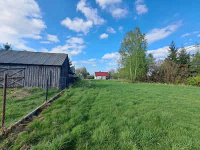 Zrelaksuj się w Chrzczance-Folwark - Chrzczanka-Folwark  -
Mazowieckie Zdjęcie nr 10