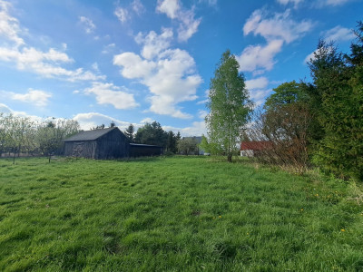 Zrelaksuj się w Chrzczance-Folwark - Chrzczanka-Folwark  -
Mazowieckie Zdjęcie nr 11