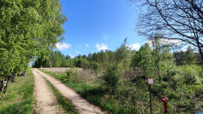 Nowe Łagiewniki działka blisko Łodzi - Łagiewniki Nowe  -
Łódzkie Zdjęcie nr 4