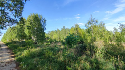 Nowe Łagiewniki działka blisko Łodzi - Łagiewniki Nowe  -
Łódzkie Zdjęcie nr 6