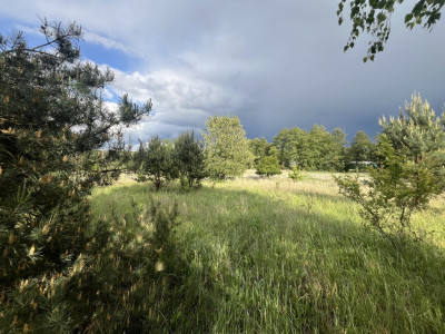 Twój azyl nad rzeką - działka - Drawiny  -
Lubuskie Zdjęcie nr 5