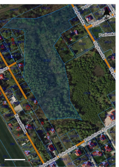 65 ha pod osiedle  inwestycja blisko Łodzi - Palestyna  -
Łódzkie Zdjęcie nr 2