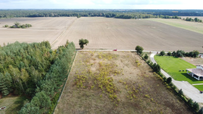 Działka 3000 m2 puszcza zielonka - Kicin  -
Wielkopolskie Zdjęcie nr 10