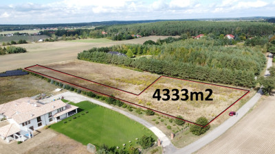 Działka 3000 m2 puszcza zielonka - Kicin  -
Wielkopolskie Zdjęcie nr 12