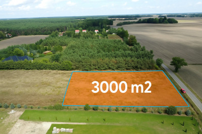 Działka 3000 m2 puszcza zielonka - Kicin  -
Wielkopolskie Zdjęcie nr 2