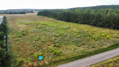 Działka 3000 m2 puszcza zielonka - Kicin  -
Wielkopolskie Zdjęcie nr 4