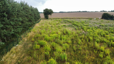 Działka 3000 m2 puszcza zielonka - Kicin  -
Wielkopolskie Zdjęcie nr 5