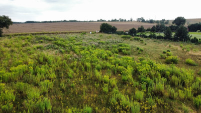 Działka 3000 m2 puszcza zielonka - Kicin  -
Wielkopolskie Zdjęcie nr 6