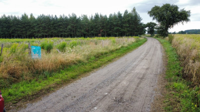 Działka 3000 m2 puszcza zielonka - Kicin  -
Wielkopolskie Zdjęcie nr 7