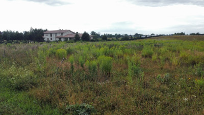 Działka 3000 m2 puszcza zielonka - Kicin  -
Wielkopolskie Zdjęcie nr 9