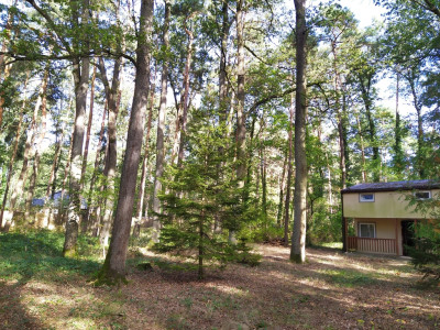 Zamieszkaj w niezwykłym miejscu - Sokolniki Las - Sokolniki-Las  -
Łódzkie Zdjęcie nr 2