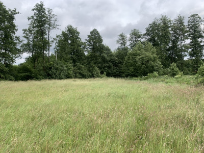 3 działki do wyboru pod dom jednorodzinny - Gierłatowo  -
Wielkopolskie Zdjęcie nr 13