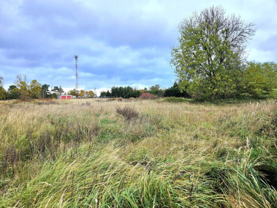 Cztery sprzedane a Ty nadal czekasz - Brzózki  -
Zachodniopomorskie Zdjęcie nr 10