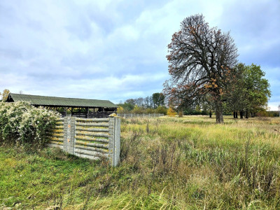 Cztery sprzedane a Ty nadal czekasz - Brzózki  -
Zachodniopomorskie Zdjęcie nr 11