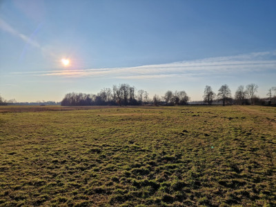Działka Budowlana dla Rolnika  Bielawy - Bielawy  -
Łódzkie Zdjęcie nr 2